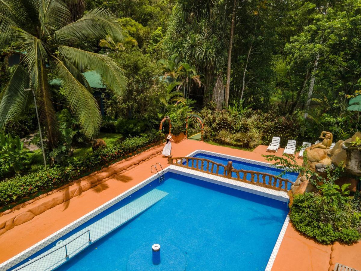 Ara Ambigua Hotel Sarapiquí
